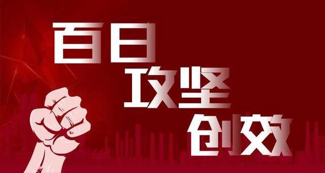 坚持党建引领  助推百日攻坚